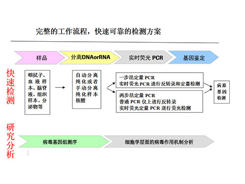 分子生物學PCR室建設參考方案