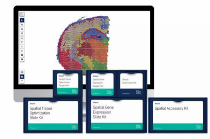 10x Genomics Visium空間基因表達解決方案